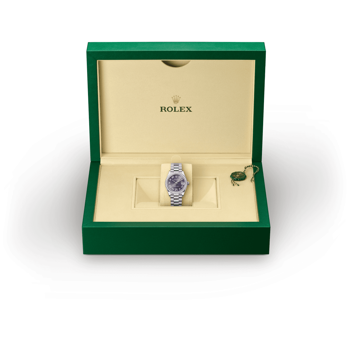 Rolex Datejust 31 M278289RBR-0019 in box