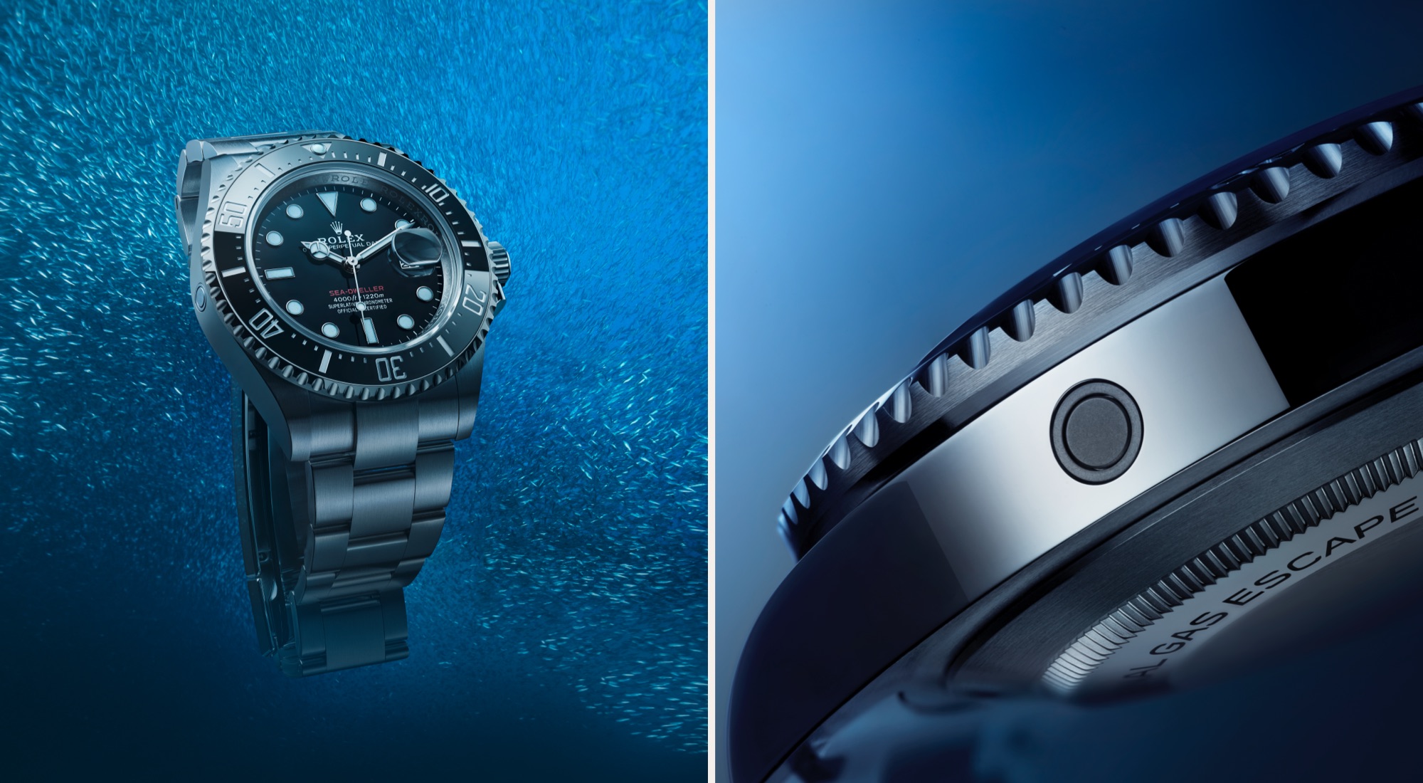 Rolex Sea-Dweller m126600-0002 and close up