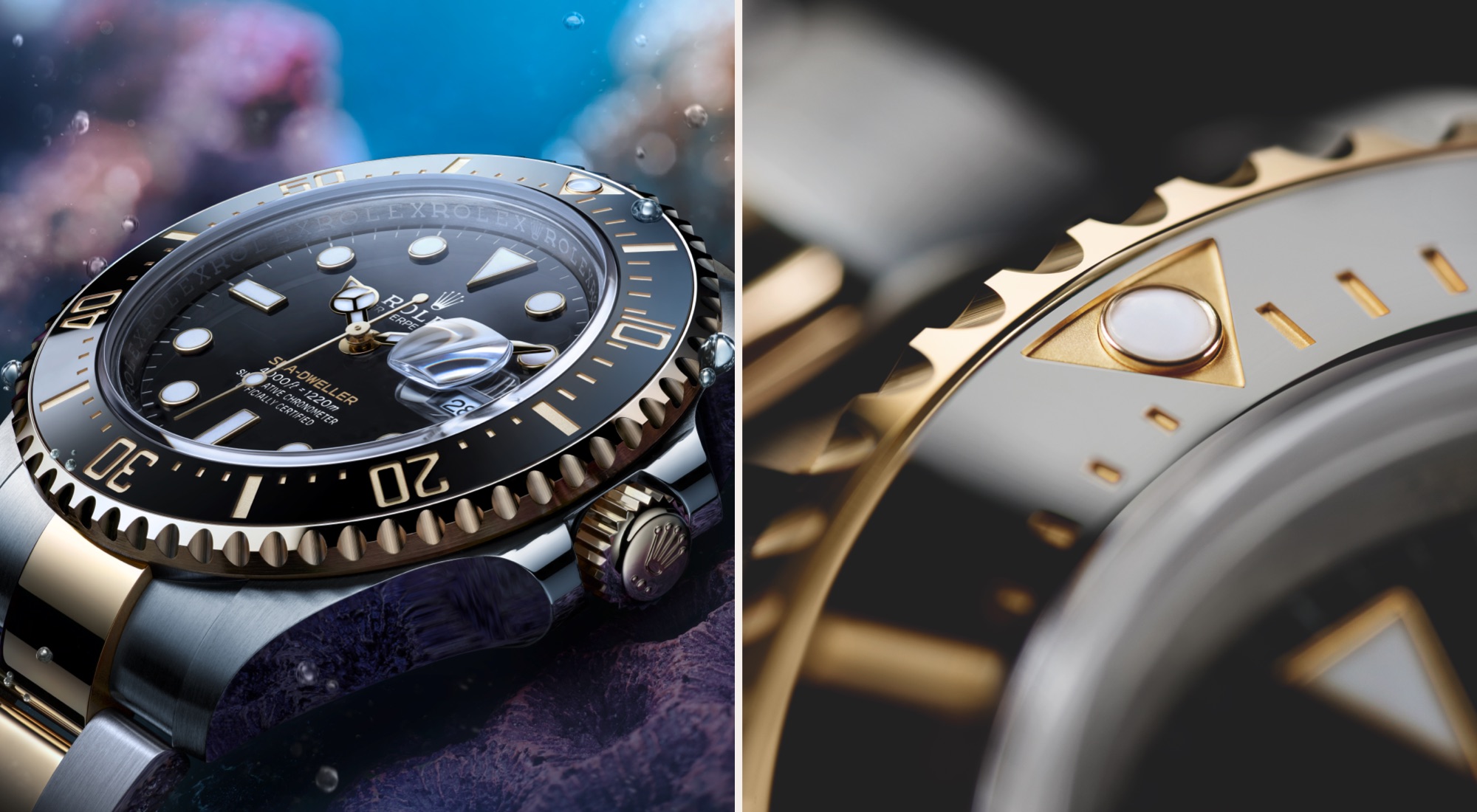 Rolex Sea-Dweller m126603-0001 close up
