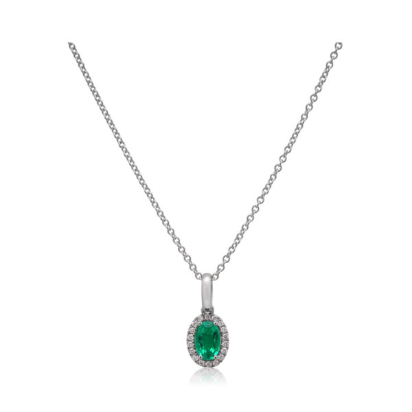 An 18ct white gold oval shaped columbian emerald and diamond set cluster pendant and chain.