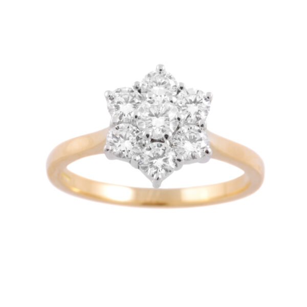 An 18ct yellow and white gold round brilliant cut diamond seven stone cluster ring with a claw setting.