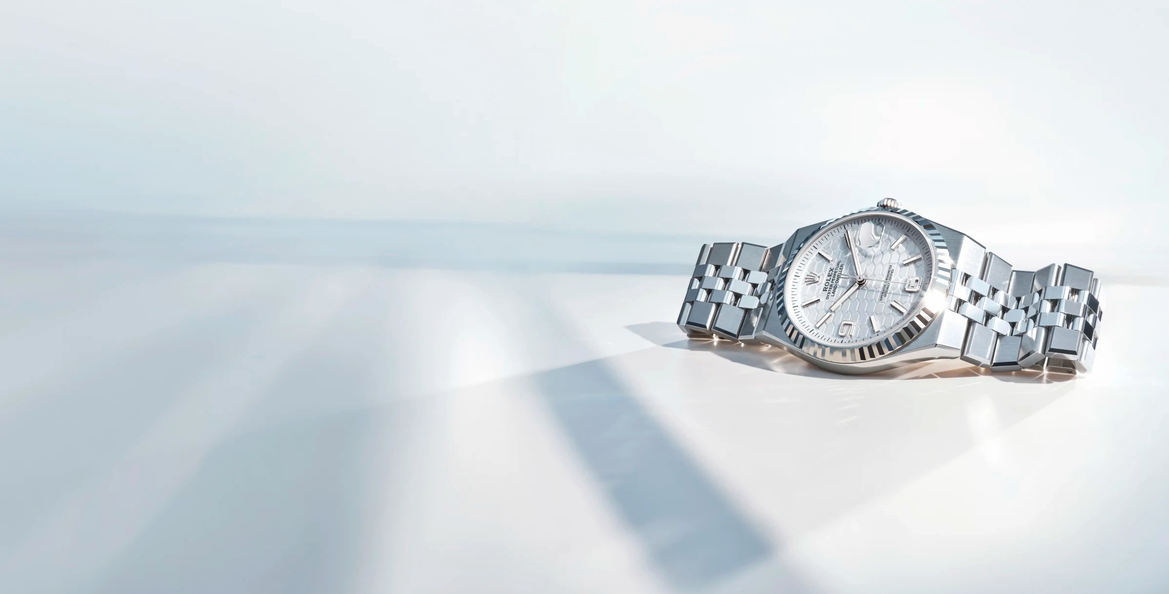 Rolex Land-Dweller on grey background