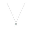 18ct White Gold Oval Shaped Emerald & Diamond Cluster Pendant & Chain An 18ct white gold oval shaped emerald and round brilliant cut diamond set pendant on an adjustable cable chain.