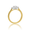 18ct Yellow Gold Brilliant Cut Diamond Three Stone Ring An 18ct yellow and white gold round brilliant cut diamond three stone ring.