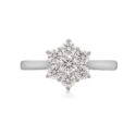 A platinum round brilliant cut diamond seven stone cluster ring with a claw setting.