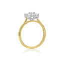An 18ct yellow and white gold round brilliant cut diamond seven stone cluster ring with a claw setting.