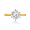 An 18ct yellow and white gold round brilliant cut diamond seven stone cluster ring with a claw setting.
