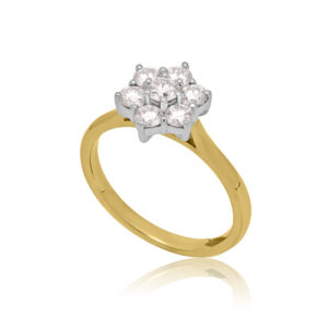 An 18ct yellow and white gold round brilliant cut diamond seven stone cluster ring with a claw setting.