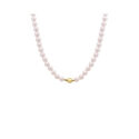 A white akoya pearl necklace featuring a 9ct yellow gold rear clasp.